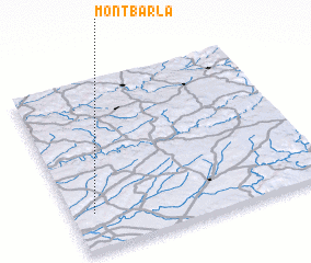 3d view of Montbarla