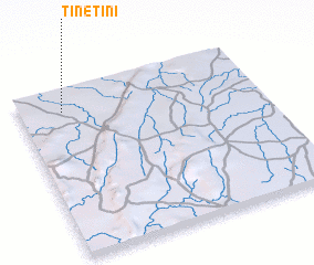 3d view of Tinetini