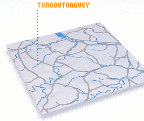 3d view of Tongou Tonguey