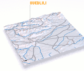 3d view of Oued Lili