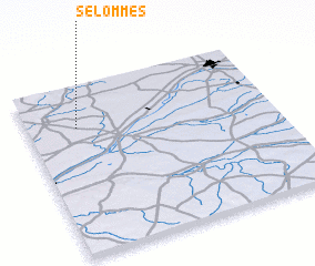 3d view of Selommes