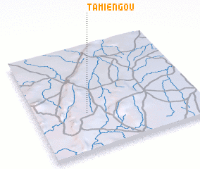 3d view of Tamiengou