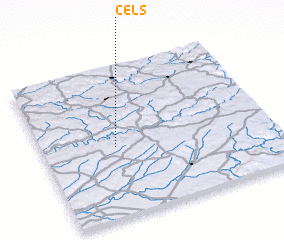 3d view of Cels