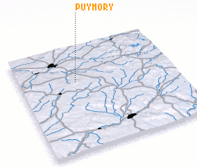 3d view of Puymory