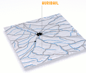3d view of Auribail