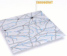 3d view of Sauvagnat