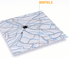 3d view of Montels