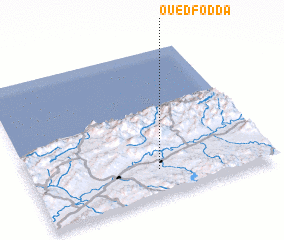 3d view of Oued Fodda