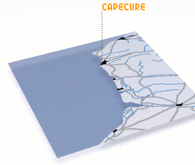 3d view of Capecure