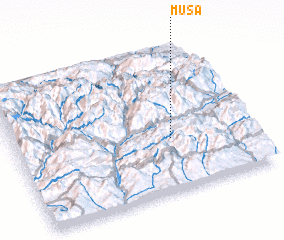 3d view of Musa