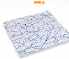 3d view of Foulie