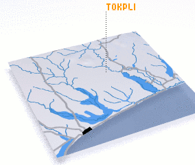 3d view of Tokpli