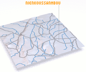 3d view of Nienkoussanmbou