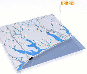 3d view of Bakari