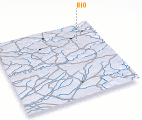3d view of Bio
