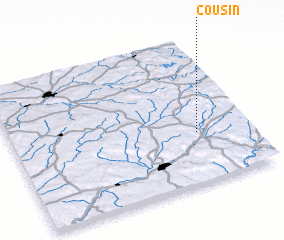 3d view of Cousin