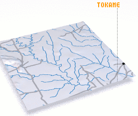 3d view of Tokamé