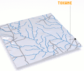 3d view of Tokamé