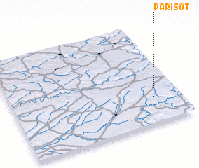 3d view of Parisot