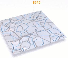 3d view of Boro