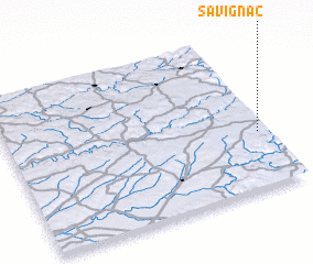 3d view of Savignac