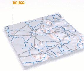 3d view of Nguga