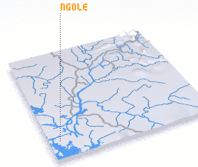 3d view of Ngolé