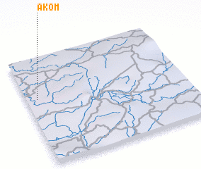 3d view of Akom