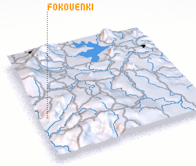 3d view of Fokouenki