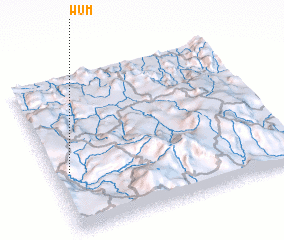 3d view of Wum