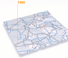 3d view of Tame