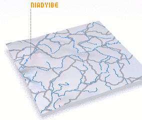 3d view of Niadyibe