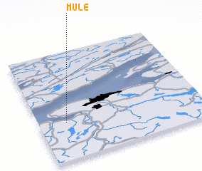 3d view of Mule