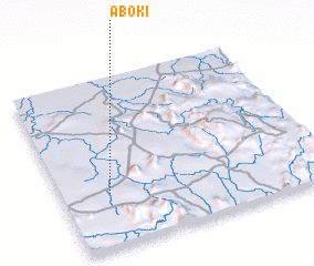 3d view of Aboki