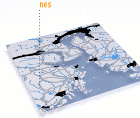 3d view of Nes