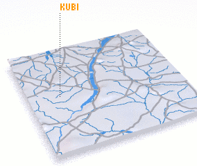 3d view of Kubi