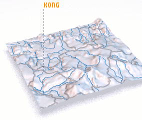 3d view of Kong