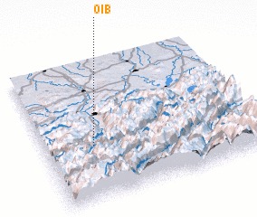 3d view of Oib