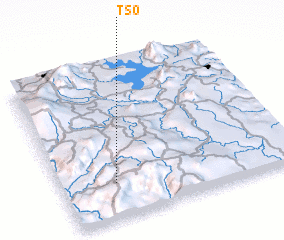 3d view of Tso