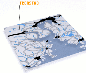 3d view of Tronstad