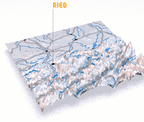 3d view of Ried