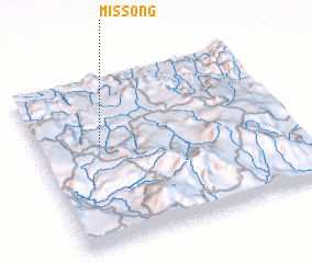 3d view of Missong