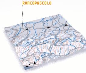 3d view of Roncopascolo