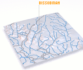 3d view of Bissobinam