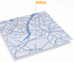 3d view of Bonga