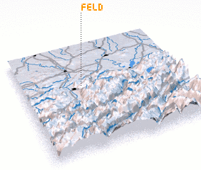 3d view of Feld