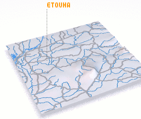 3d view of Etouha