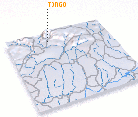 3d view of Tongo