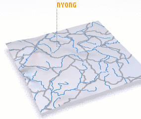 3d view of Nyong