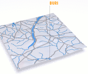 3d view of Buri